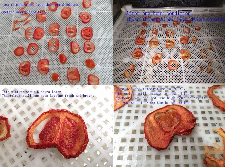 Agriculture Machinery Tomato Drying Equipment